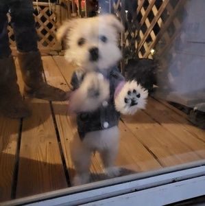 Meet your Posher, Barbara